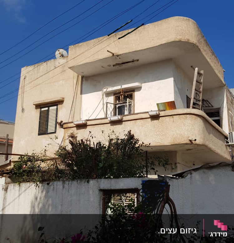 צמחייה גזומה על גדר ליד בית